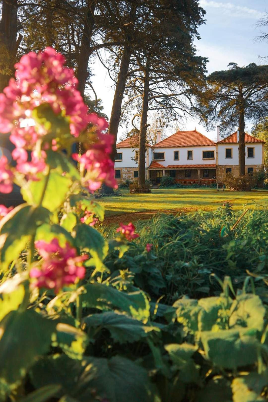 Lugar Da Pedra Alta - B&B - Private Historical Villa Melo Esterno foto