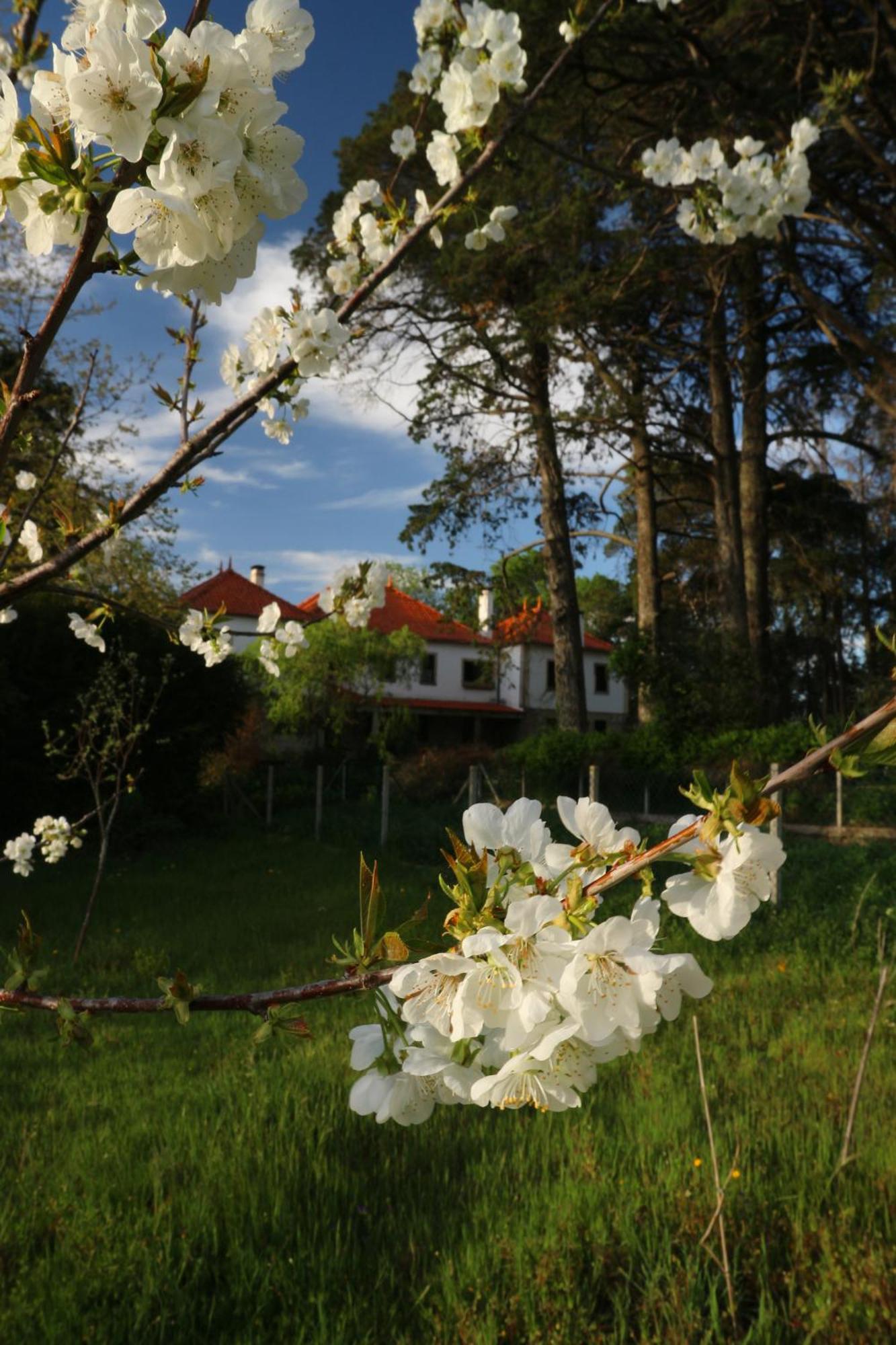Lugar Da Pedra Alta - B&B - Private Historical Villa Melo Esterno foto